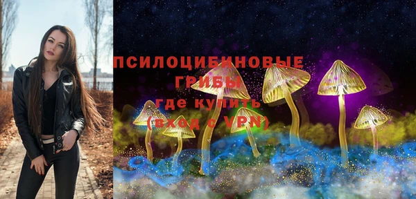 соль ск Алексеевка