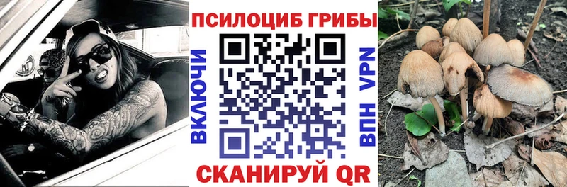 Галлюциногенные грибы мицелий  цены   Томари 