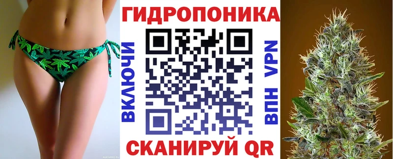 Шишки марихуана OG Kush Томари
